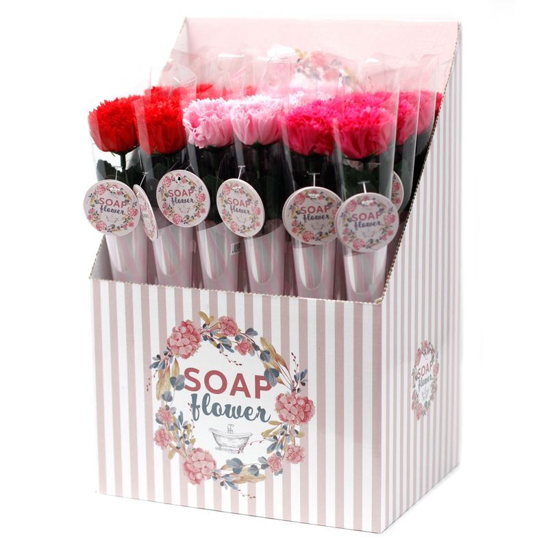 Fleurs Uniques  et Présentoir - Petit Œillet