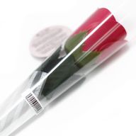 Fleurs Uniques et Présentoir - Bouquet d'Œillets