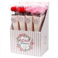 Fleurs Uniques et Présentoir - Œillet Moyen