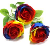 Rose Unique Multicouleur
