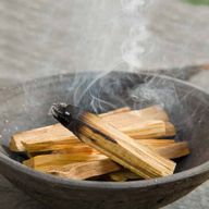 25g Palo Santo Arbre Vert 3-4 Bâtonnets