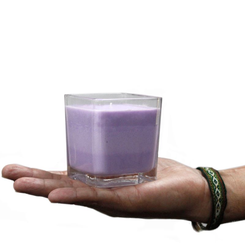 Bougies Cire de Soja Sans Étiquette- Raisins & Gingembre
