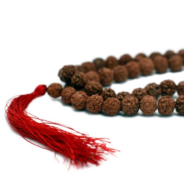Mala Rudraksha 108 Perles-Marron