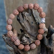 Mala Rudraksha Bouddha-Marron