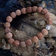 Mala Rudraksha Bouddha-Naturel