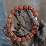 Mala Rudraksha Bouddha-Naturel