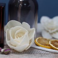 Diffuseurs Naturels Fleurs