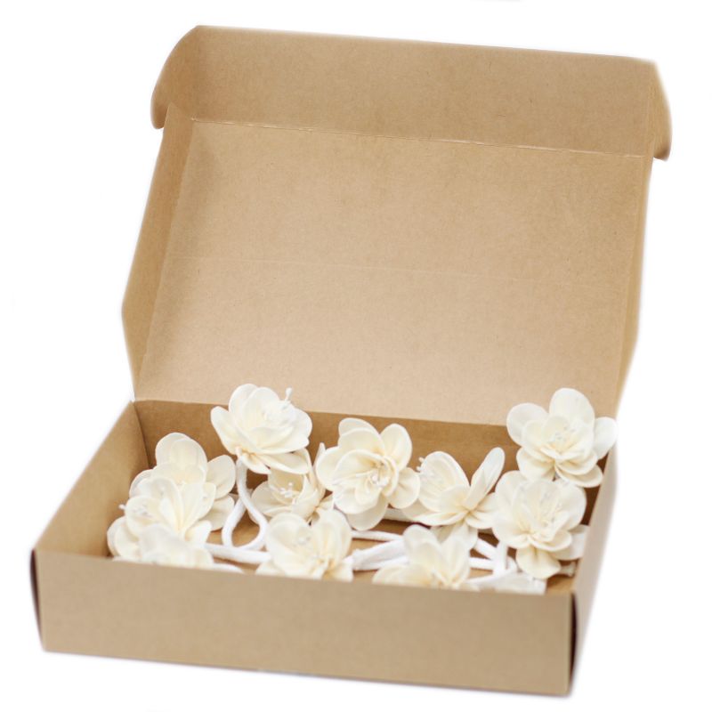 Diffuseurs Naturels Fleurs - Petit Lys Corde