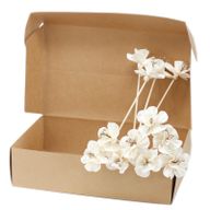 Diffuseurs Naturels Fleurs - Lys Sur Bâtonnets