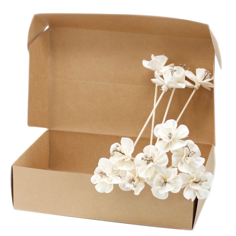 Diffuseurs Naturels Fleurs - Lys Sur Bâtonnets