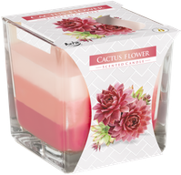 Bougies Arc-en-Ciel en Verre - Fleur de cactus