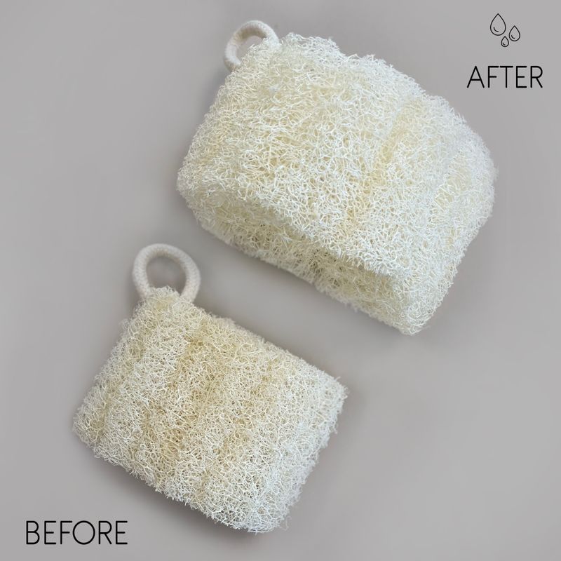 Loofah de Luxe Égyptien avec Ficelle en Coton - Non Compressé - 8-12cm