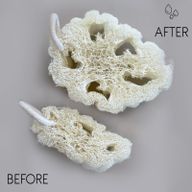 Loofah de Luxe Égyptien avec Ficelle en Coton - Non Compressé - 8-12cm
