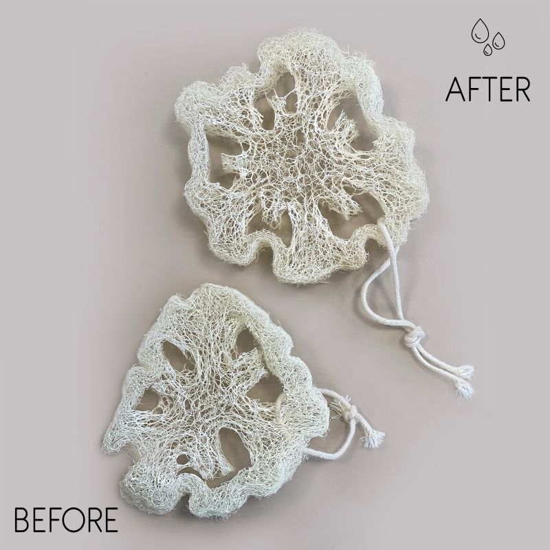 Loofah de Luxe Égyptien avec Ficelle en Coton - Non Compressé - 2 cm