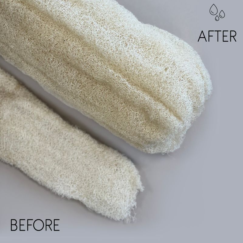 Loofah Entier de Luxe Égyptien - Comprimé - 50-60cm