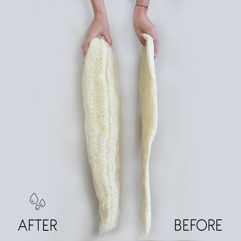 Loofah Entier de Luxe Égyptien - Comprimé - 35-50cm