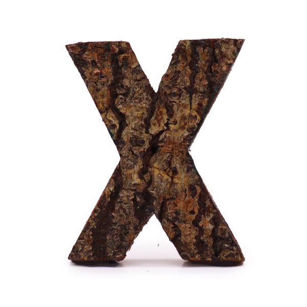 Lettre Rustique en Écorce - "X" (12) - Petit 7cm