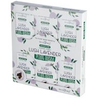 Cônes d'Encens Percés à Base de Plantes - Lavande Luxuriante