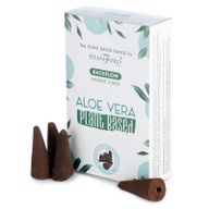 Cônes d'Encens Percés à Base de Plantes - Aloe Vera