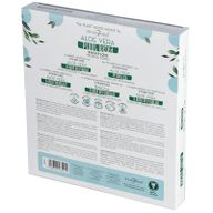Cônes d'Encens Percés à Base de Plantes - Aloe Vera