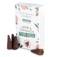 Cônes d'Encens Percés à Base de Plantes - Pomme & Canelle