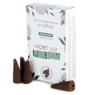 Cônes d'Encens Percés à Base de Plantes - Violet Lilly