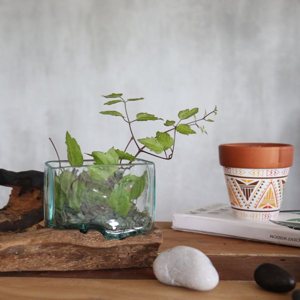 Verre Soufflé sur Bois - Bol Rectangulaire - Moyen