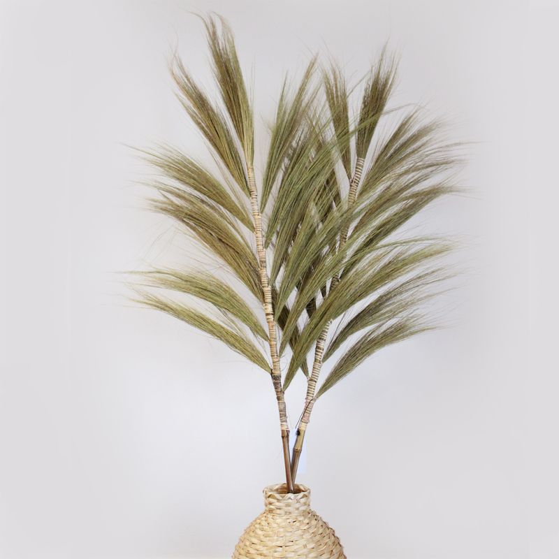 Herbe Rayung Naturelle - 1.6m