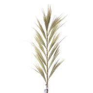 Herbe Rayung Blonde - 1.6m