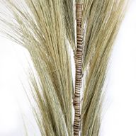Herbe Rayung Blonde - 1.6m