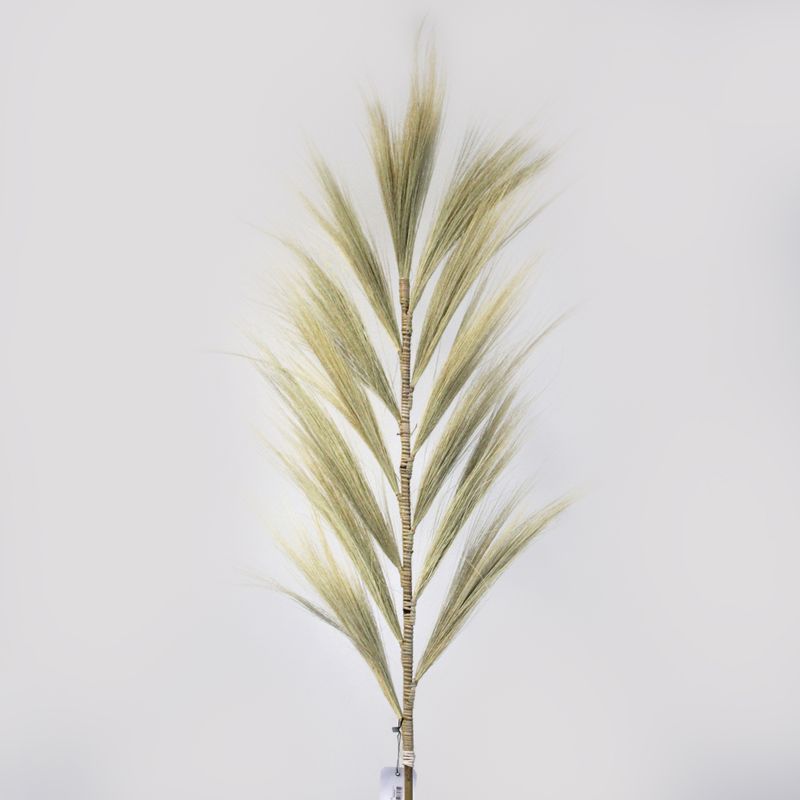 Herbe Rayung Blonde - 1.6m