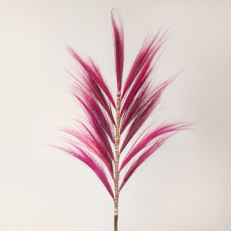Herbe Rayung Rose - 1.6m