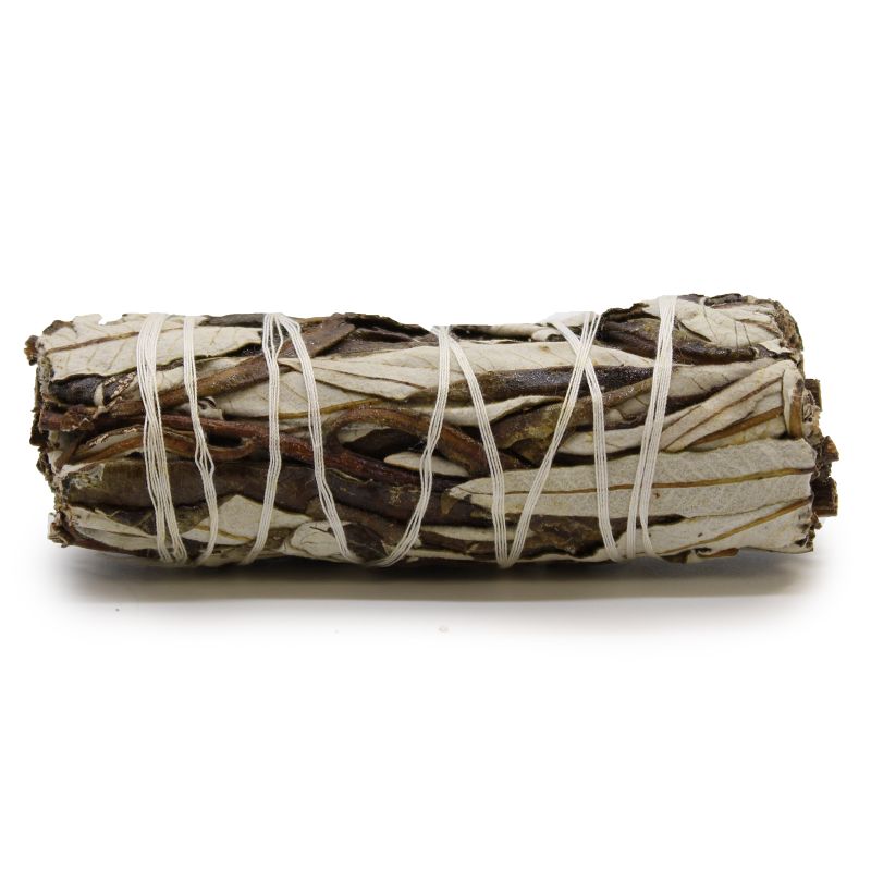 Batonnets de Sauge avec Emballage Kraft - Sauge Shasta 10cm