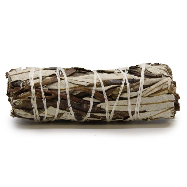 Batonnets de Sauge avec Emballage Kraft - Sauge Shasta 10cm