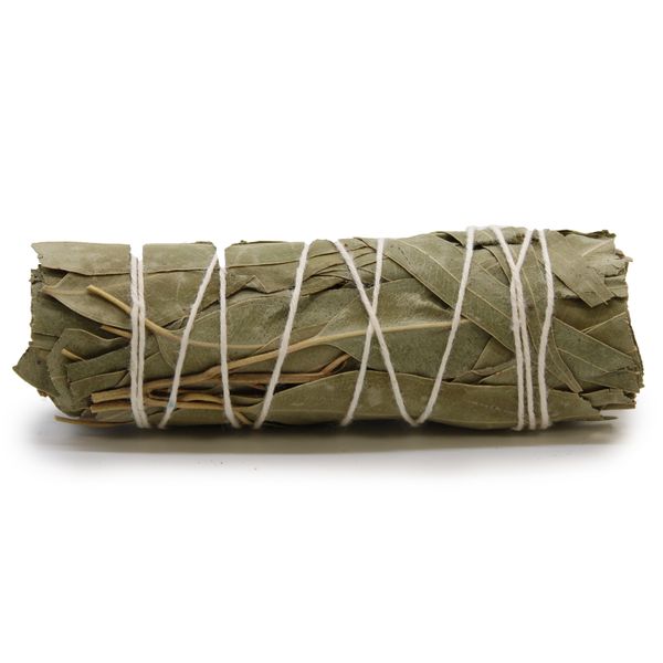 Batonnets de Sauge avec Emballage Kraft - Sauge Blanche & Eucalyptus 10 cm