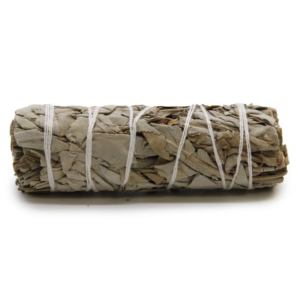 Batonnets de Sauge avec Emballage Kraft - Sauge Blanche 10cm