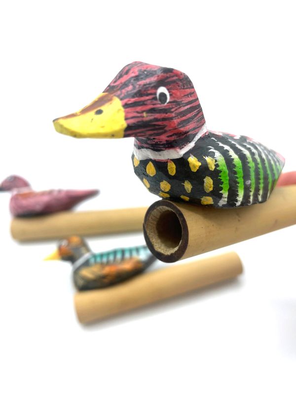Sifflets Canard - 4 assortis