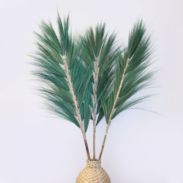 Herbe Rayung Verte - 1.6m
