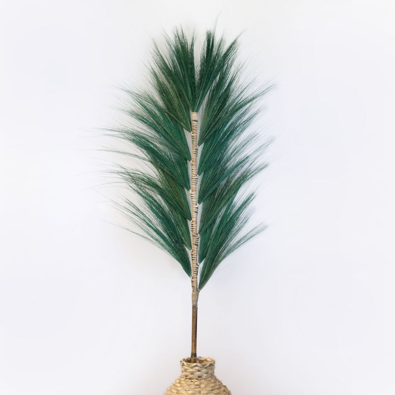 Herbe Rayung Verte  - 1.6m