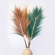 Herbe Rayung Corail - 1.6m