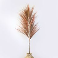 Herbe Rayung Corail - 1.6m