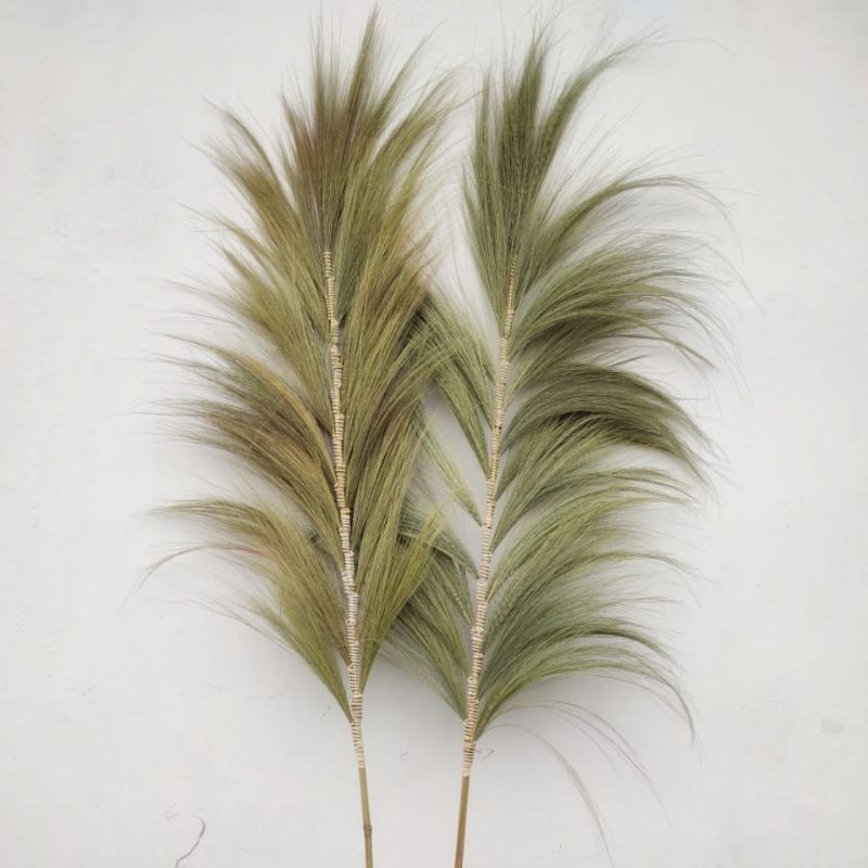 Herbe Rayung Naturelle - 2m