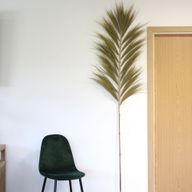 Herbe Rayung Naturelle - 2m