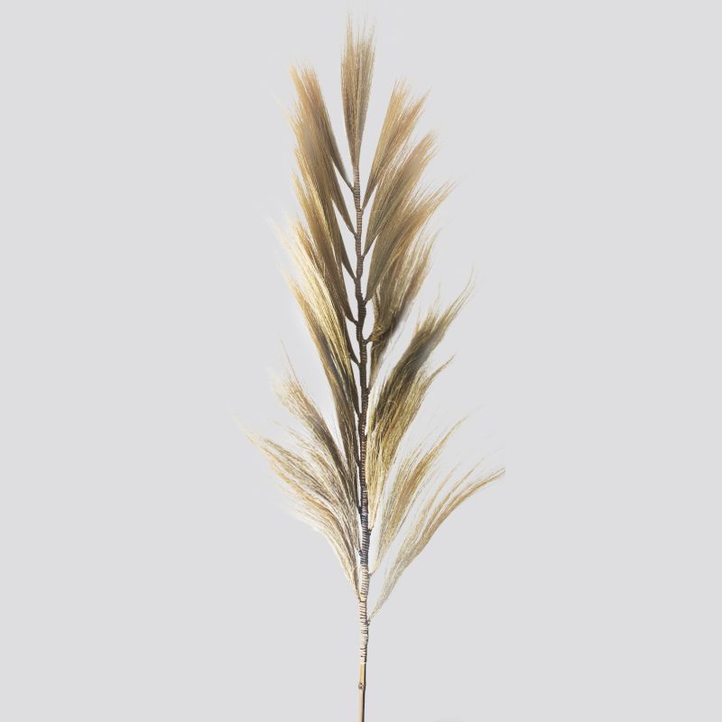 Herbe Rayung Blonde - 2m