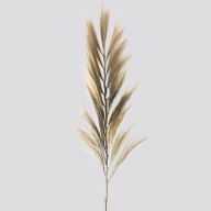 Herbe Rayung Blonde - 2m