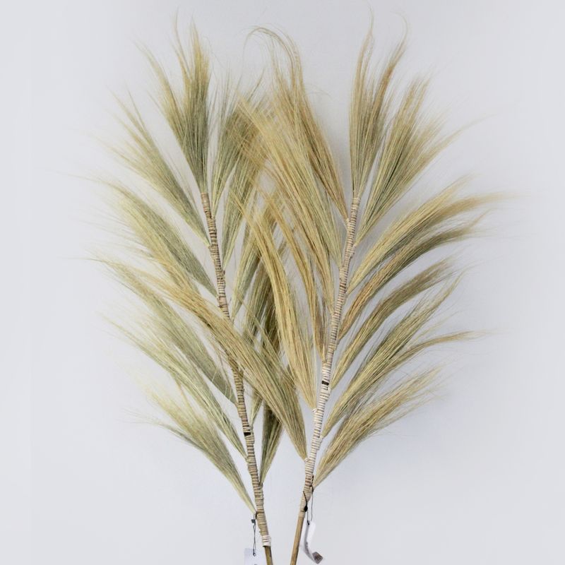 Herbe Rayung Blonde - 2m