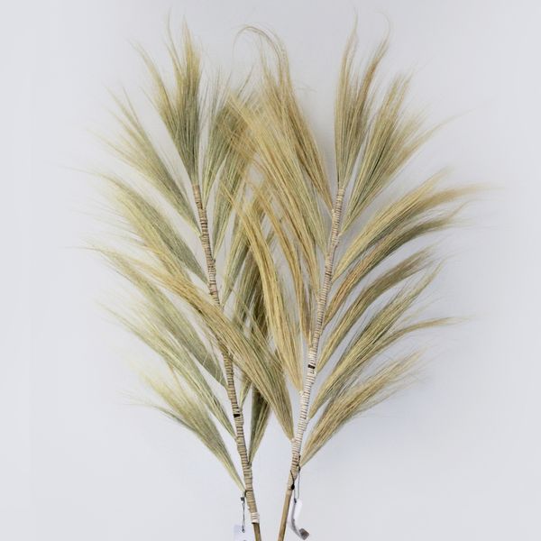 Herbe Rayung Blonde - 2m