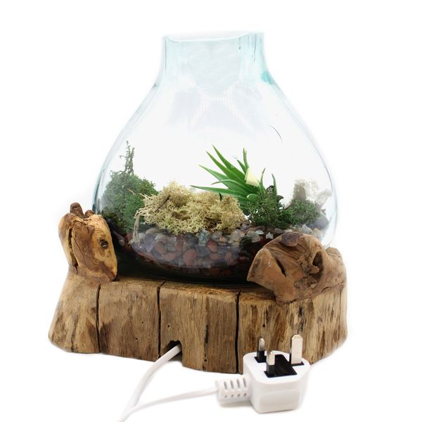 Grand aquarium en verre fondu de 3,7 litres (avec cavité lumineuse) - 30 cm (prise UK)
