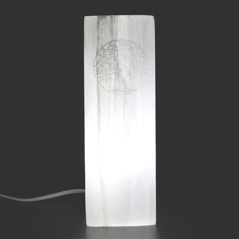 Lampe Bloc Sélénite 25cm - Arbre