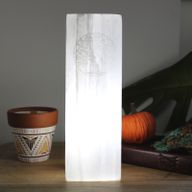 Lampe Bloc Sélénite 25cm - Arbre